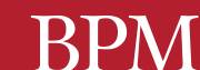 BPM LLP Logo